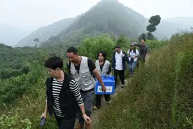 成都：两只珍贵猛禽集中放归大自然图片