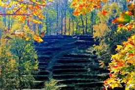 沿着古“道”今“路” 来一趟“溯路”之旅图片