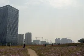 五组艺术壁画惊艳亮相，济南地铁裴家营站变身艺术空间图片