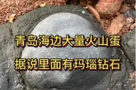 青岛三浴海边有火山蛋，里面藏着玛瑙、钻石？！有人拿着锤子敲开石头图片