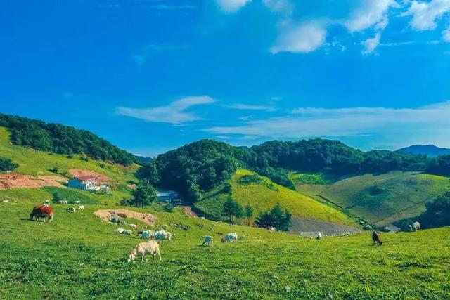 短短短短短……且赏且珍惜