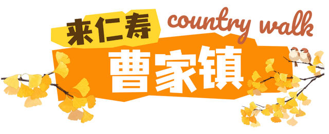 初秋country walk，是时候到仁寿村游啦