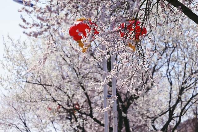 “动”“静”两相宜～颜值天花板～