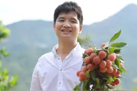 广州高校老师回乡当起“荔枝大王”｜新农人 兴农记②图片