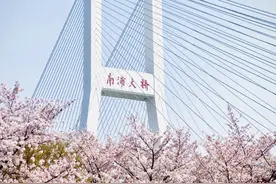 上海“最美车站”落英缤纷！别错过这场绝美樱花雨→图片