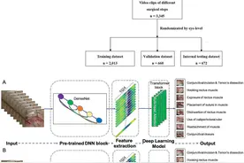 医生将斜视手术“解剖”为3345个片段，用AI建模型定标准图片