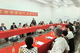 程学源在墨西哥与旅墨侨界代表座谈图片