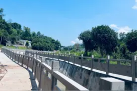 重庆巴南区双河口镇：小切口做实民生工程 惠民实效绘就居民幸福底色图片