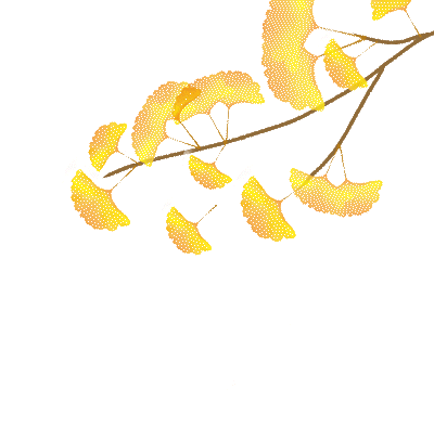 出片率100%！海陵“含金量”在上升！