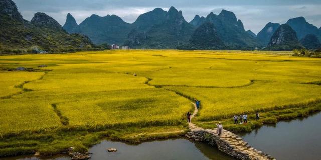 秋分至！桂林即将进入 “颜值巅峰期”，这些家门口的秋日盛景别错过！
