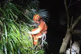 为寻财物掉入30米深天坑，重庆消防紧急救援→图片