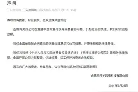潮评丨“三只羊”被罚6800多万：别和消费者玩心眼，别把诚信当儿戏图片