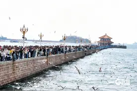 栈桥：人鸥共舞绘清明图片