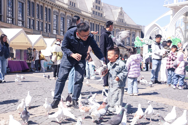 繁花、市集、音乐……青岛红树林度假世界清明小长假打造春日浪漫休闲之旅