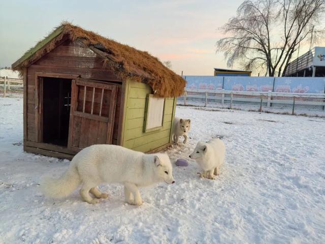 来嗨！包头跨年活动来了！