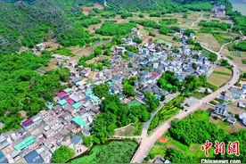广西桂林雁山区：“头雁领航”守护漓江青绿图片