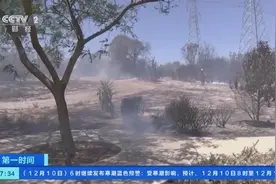 澳大利亚遭遇热浪！悉尼出现40℃高温，达三年来的最高水平图片