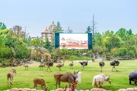 周末发愁去哪带娃？郑州周边7个好去处来啦！图片