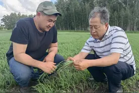 “禾合”美美：上合组织推动中外农业合作“双向奔赴”图片