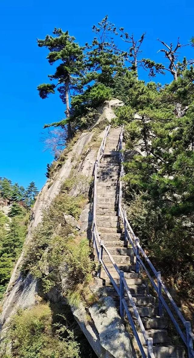 豫见两山 绿色答卷丨生态之旅——打卡“生物多样性魅力城市”南阳