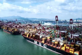 近100艘大船齐聚五大港区！山东港口青岛港国庆会战硕果累累图片