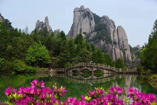 别辜负春天！4月宁德1景区进入颜值巅峰！快来赏花~