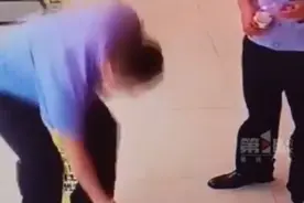 边牧走丢后自己跑进派出所报案 民警在附近小区帮它找到主人图片