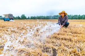 田干难播种，水井出黄泥：北方农民旱中等雨图片