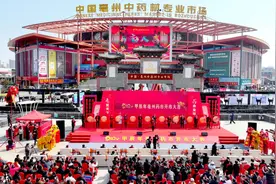 打造“世界中医药之都”，为什么是亳州？图片