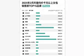 国产女包，落入涨价“陷阱”图片