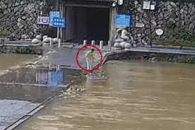 纵身一跃！这位退伍军人太帅了！图片