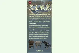 文明的坐标｜武王墩墓显“真容”图片