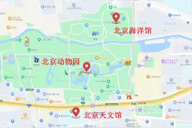 西城区推出5条中小学生研学线路，寒假期间带娃去走走？图片