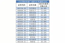 200%关税难挡中国车企在墨西哥建厂热潮！有企业调整生产策略，“曲线”入美图片