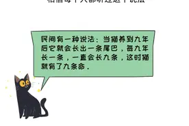 猫真有“九条命”？别误会，它只是命硬图片