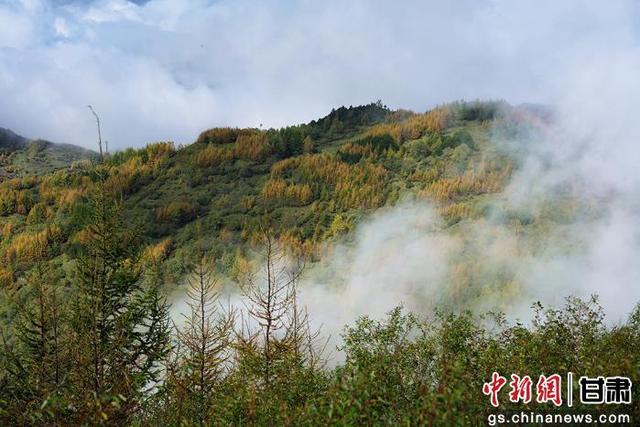 武都千坝草原秋景如画 美不胜收