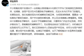极氪回应“车主被锁车内打不开门”：机械解锁功能正常图片