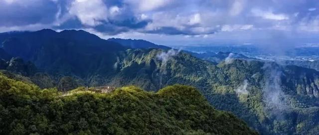 免费！优惠！明天来南宁，过重阳不“重”样！