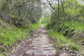 蜀道考古调查，有新发现！图片