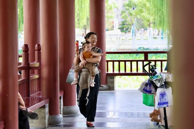市县融媒看成县 | 成县：千年文脉融入城市公园 民生福祉触手可及