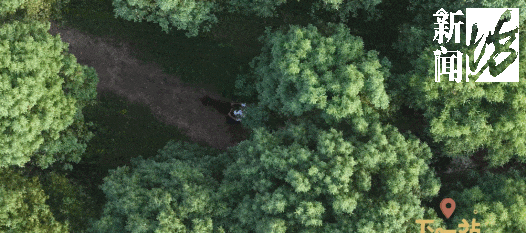 魔都隐藏新玩法！上海人的“草原梦”要实现了，就在这里↗