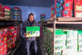 新时代中国调研行·黄河篇丨内蒙古乌海：黄河边的葡萄产业农文旅融合探索图片