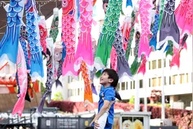 一周看天下丨日本东京：悬挂鲤鱼旗庆祝儿童节图片