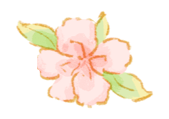 赏花图鉴｜迤谷花海，藏在宣威永安的田园诗行