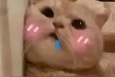 酸酸甜甜就是我图片