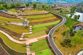 今年璧山区将着力促进城市增绿添园增花添彩图片