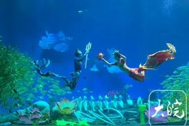 “十一”期间，合肥海洋世界上演水下版“鲤鱼化龙”演出《龙鲤赋》图片