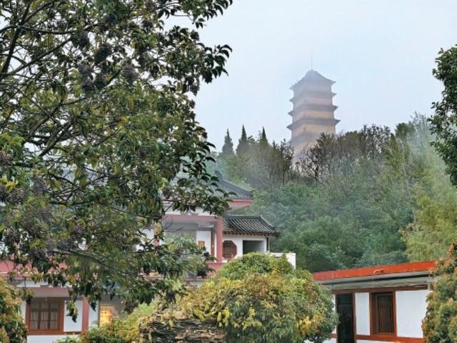 行走长安步步成诗：沿着诗人的足迹 寻一句“你的唐诗”