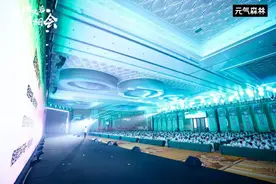 从困境中成长：元气森林的蜕变与未来图片