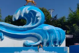 你洗完澡涂身体乳吗？图片